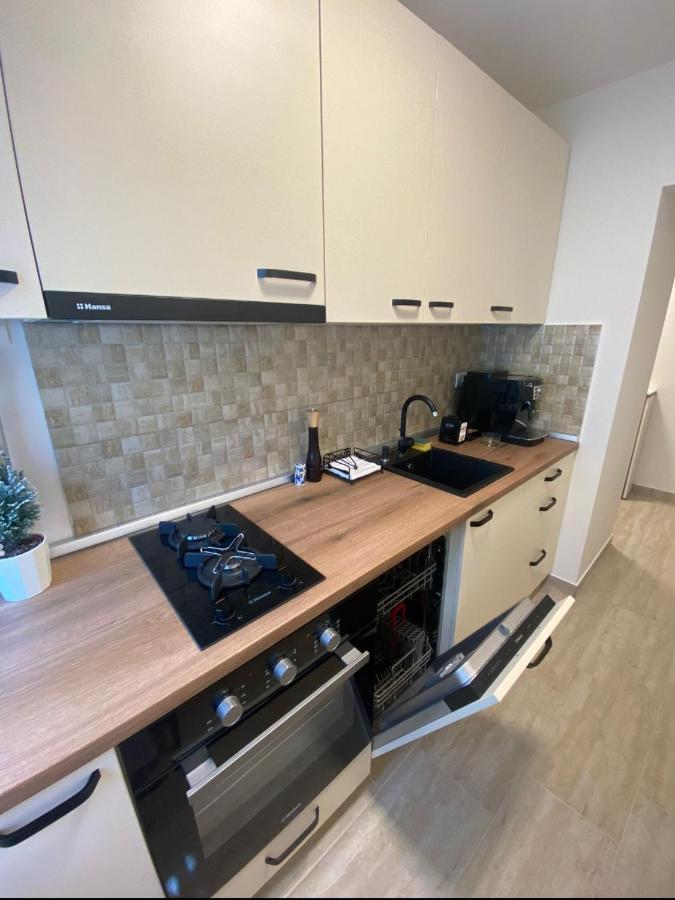 Apartamentul Gaviota Timisoara Exterior foto