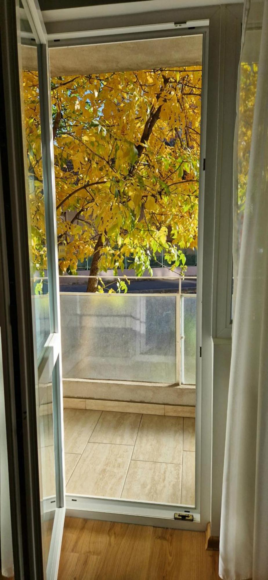 Apartamentul Gaviota Timisoara Exterior foto